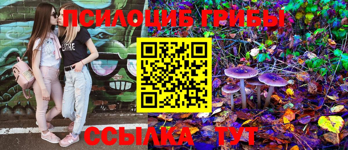 Галлюциногенные грибы Cubensis Волхов