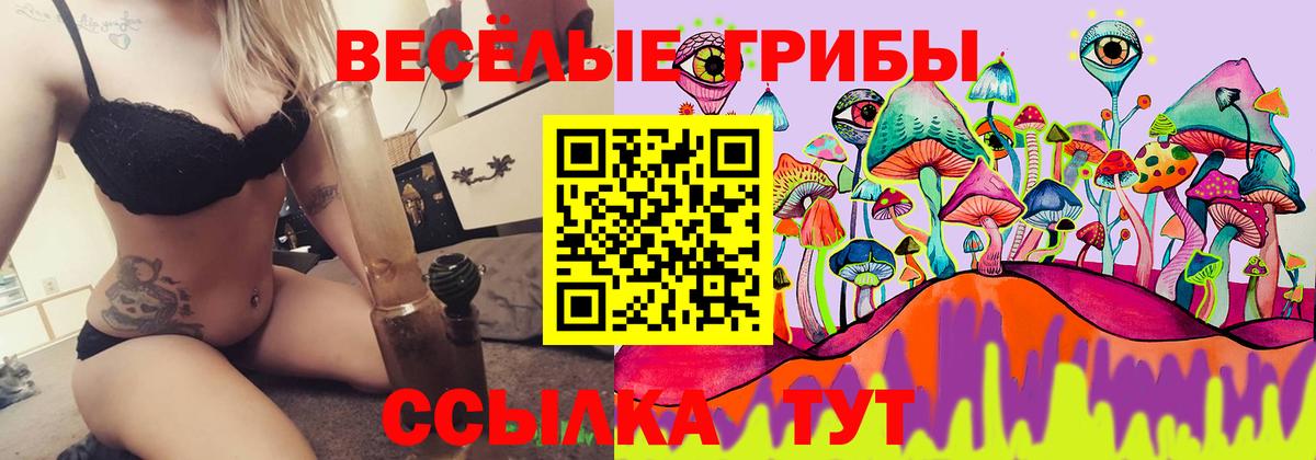 Волхов  Галлюциногенные грибы прущие грибы  Вход с VPN 