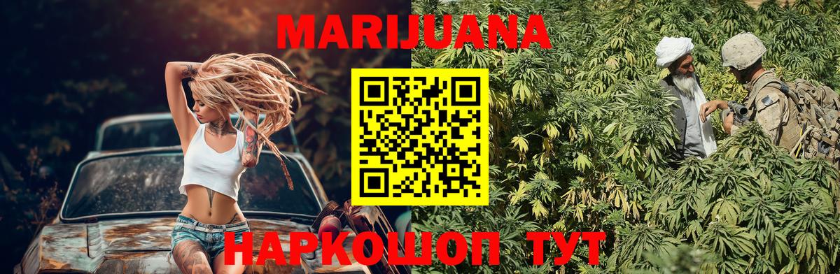 Волхов  Конопля план  Вход с VPN  Бошки марихуана Ganja 